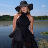 Black Swan Dress
