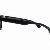 P 326 001 Sunglasses